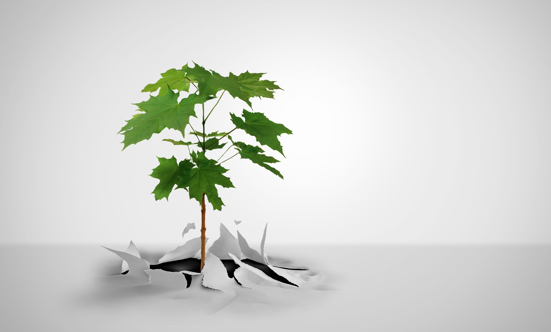 Potentiel de croissance